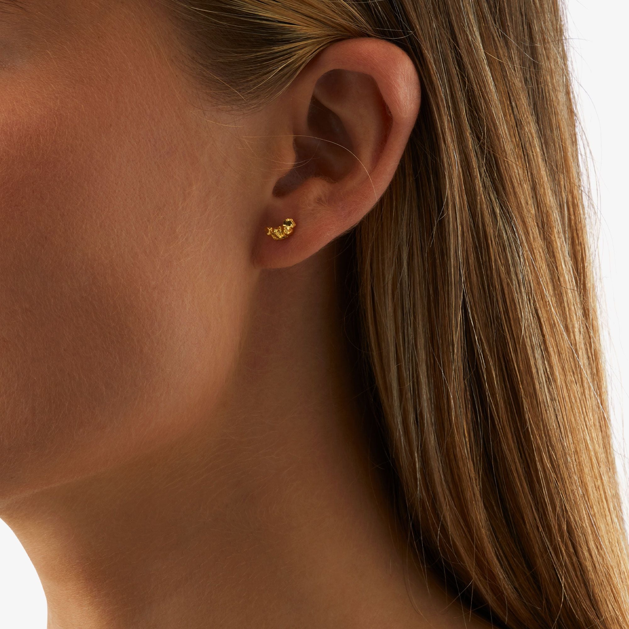 Lille Fragment Silicium Ørestikker